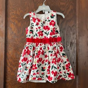 Holiday Pointsetta holiday dress 3T